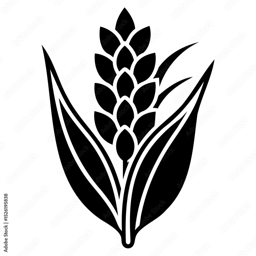Poster sorghum crop outline icon in vector silhouette style displayed on a transparent background for farm 