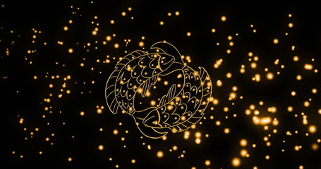 Image of twin fish of pisces zodiac sign against illuminated moving lens flares