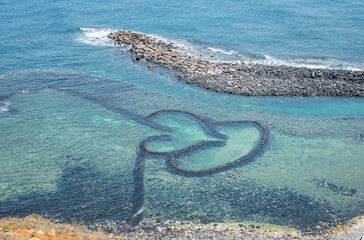 coral reef and sea 