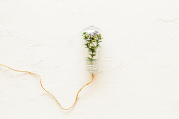 Green plant in a light bulb, top view. Symbol of eco energy and sustainable resources
