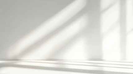 Bright White Wall Bathed in Sunlight with Soft Shadows, Modern Minimalist Clean Interior Space Decor