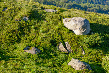 pile of rock boulder on the grassy slope. limestone boulders in morning light