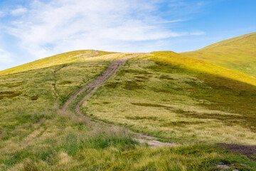 green mountain landscape with trail for hiking. path through highland meadow on nature hill to the top for outdoor travel and beautiful view. alpine tourism scenery in summer with sky and cloud
