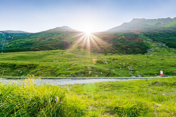 mountain landscape at sunrise in summer. outdoor adventure in bright weather. scenery with green valley of fagaras ridge in morning light. travel romania. carpathian remote place