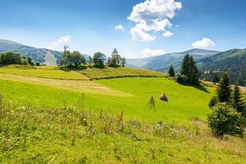 rural landscape of ukraine in summer for travel. transcarpathia region. countryside scenery with green field and trees on the hill. beautiful view of borzhava mountain ridge in the distance