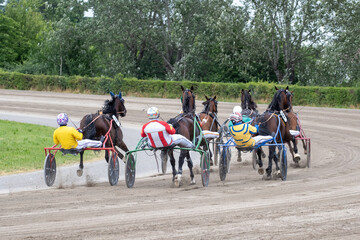 Modena, Italy – 05 18 2025: Racing horses trots and rider on a track of stadium. Competitions for trotting horse racing. Horses compete in harness racing. Horse runing at the track with rider.
