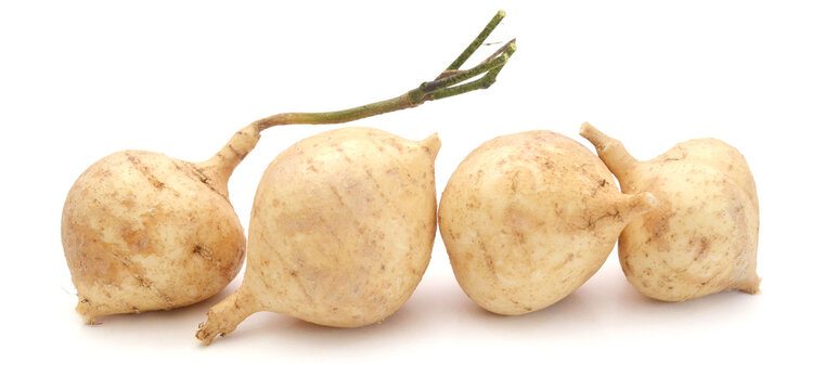 Close-up of a jicama