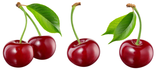Cherry isolated png. Sour cherry with leaf on transparent background. Perfect retouched cherries on branch no background. Png cherry collection.