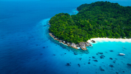 Aerail view of green forest and the sea. natural ecosystems of forests and oceans. concept of natural forest conservation