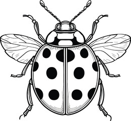 Ladybug 2D Cartoon Vector Mascot – Cute Insect Character for Kids, Stickers, and Branding
