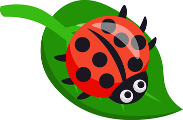 Beetle spring insect element