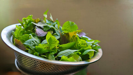 Aromatic various green fresh picked natural herbal in bowl— organic red perilla, Thai basil, fish mint, green mint leaves, sweet basil, lettuce, healthy lifestyle wellness. vibrant colors textures
