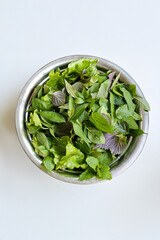 Aromatic various green fresh picked natural herbal in bowl— organic red perilla, Thai basil, fish mint, green mint leaves, sweet basil, lettuce, healthy lifestyle wellness. vibrant colors textures
