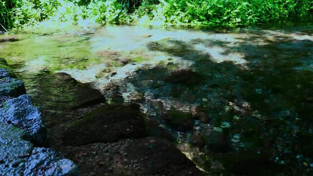 湧玉池 富士山本宮浅間大社