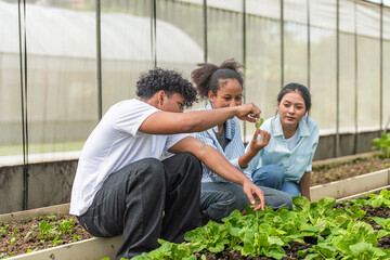 Group of young people examining lettuce plants in a greenhouse