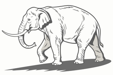 Obraz premium Detailed asian elephant illustration vector design
