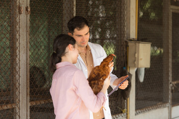 On a chicken farm, a teenager and a veterinarian are monitoring the hen growth