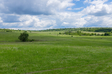 Fototapeta premium Wide lush green field stretches toward low hills. Dramatic cumulus clouds dominate bright sky, creating scenic rural backdrop.