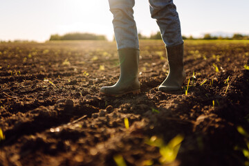 Feet of a young farmer in work boots on a plowed agricultural field. Young female agronomist...