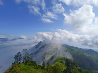 View of the hillside in Kintamani Bangli, Bali covered by greenery and mist in the morning.