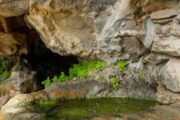 Side view of traditional outdoor spring shows steady drip from vintage pipe, forming clear ripples in green water, perfect wilderness hydration source