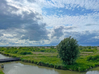 The edge of a canal in wetland in a cloudy sky in bright sunlight in springtime,  Oostvaardersplassen, Almere, Flevoland, Netherlands, June 07, 2025