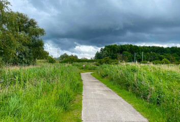The edge of a canal in wetland in a cloudy sky in bright sunlight in springtime,  Oostvaardersplassen, Almere, Flevoland, Netherlands, June 07, 2025