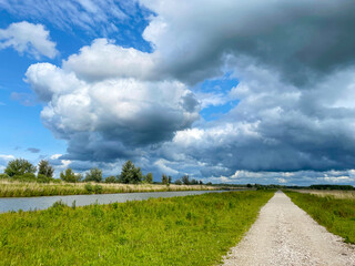 The edge of a canal in wetland in a cloudy sky in bright sunlight in springtime,  Oostvaardersplassen, Almere, Flevoland, Netherlands, June 07, 2025