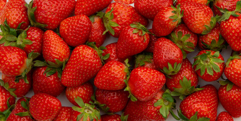 Close-up shot of fresh red strawberry  Banner