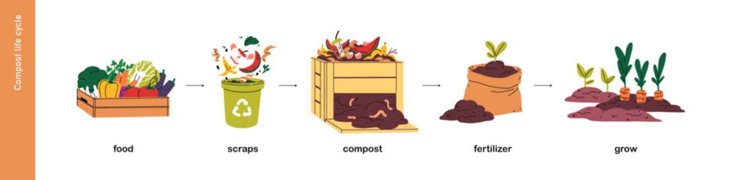 Compost life cycle. Food waste, organic scraps, peels in recycling process for natural fertilizer, manure, muck, soil and eco garden plant growth. Flat vector illustration isolated on white background