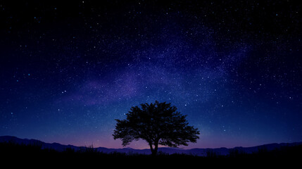 Lone Tree Silhouette Under Starry Night Sky