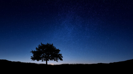 Fototapeta premium Single Tree in Dark Landscape With Stars