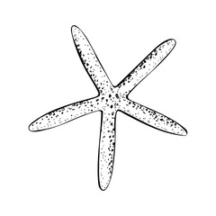 A starfish with five elongated arms and a dotted texture. Sea star hand drawn vector illustration painted by black ink. Sketch in line art style isolated on white background. For cards packages labels