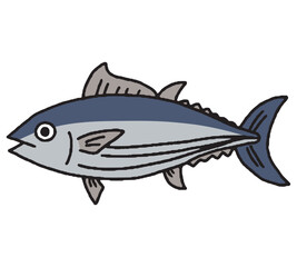 カツオの手描きイラスト