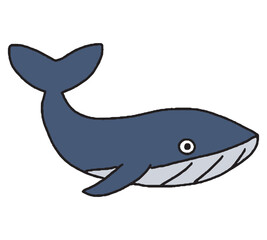 クジラの手描きイラスト