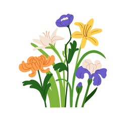 Flower bouquet with chrysanthemum, lily, iris, spring blooms. Floral mix with garden blossoms, leaves, stems. Natural botanical decoration. Flat vector illustration isolated on white background