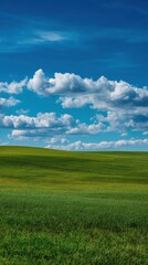 Fototapeta premium Stunning photo of beautiful natural scenic panorama green field of cut grass into and blue sky with clouds on horizon. Perfect green lawn on summer sunny day.