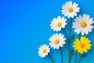 Daisies in the Sky: These delightful daisies, their white petals and sunny yellow centers, stand tall against a gradient azure background. Capture the essence of nature's beauty and serenity.