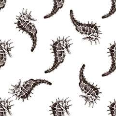 Hand drawn vintage seamless pattern of seahorse in brown ink engraving style, detailed ocean animal sketch illustration