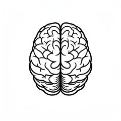 Fototapeta premium Hand Drawn human brain/ black and white Human brain illustration on white space
