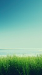 Fototapeta premium Photography of beach landscape green outdoors.