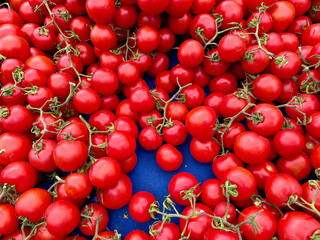 Organic Tomatoes. fresh red tomato.