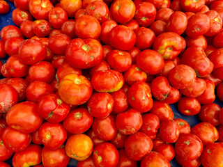Organic Tomatoes. fresh red tomato.