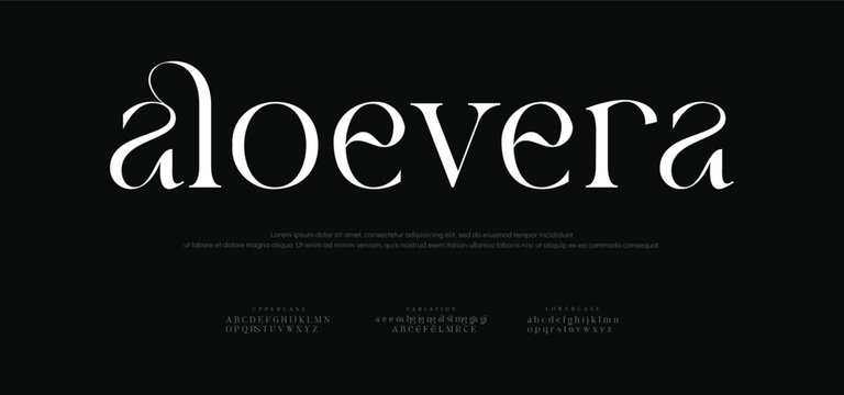 Elegance luxuries alphabet letters font typography elegant wedding classic lettering serif fonts decorative vintage retro logo design vector logo for brand
