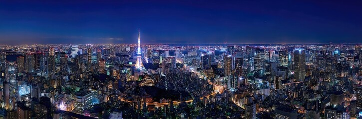Panoramic view of the Tokyo skyline 