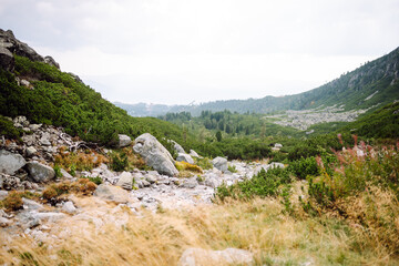 Natural mountain landscape. High cliffs rise above a green landscape. Nature concept, wild nature. Nature trail in the mountains.