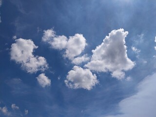 Bright Cumulus Clouds Above Horizon