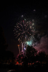 Colorful fireworks exploding in night sky over trees
