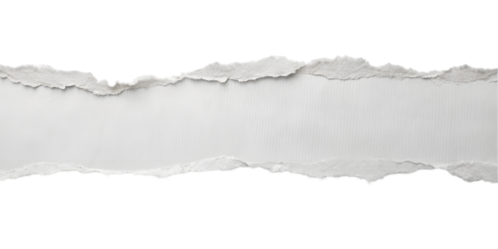 Torn Paper Line with Rough Edge