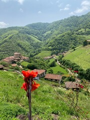 Traditional mountain village of Bandujo (Banduxu in Asturian) in Asturias, Spain
